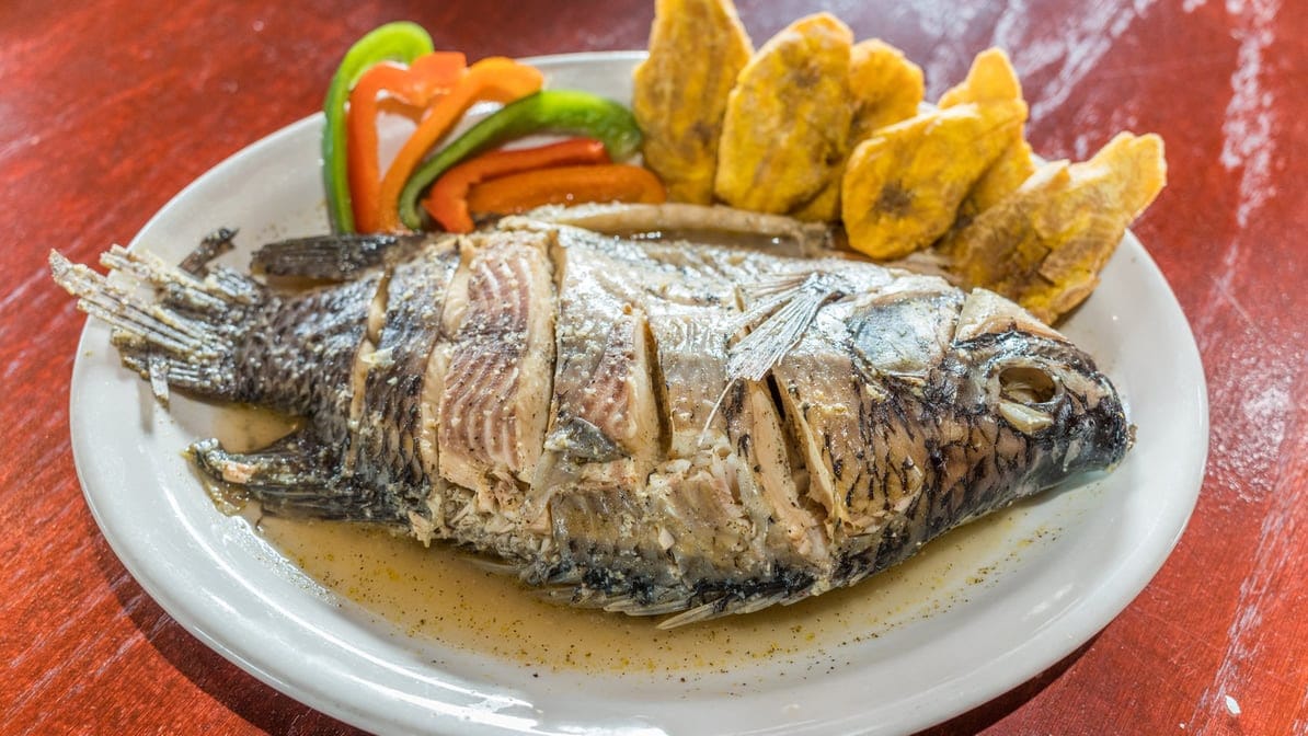 La Tierra Del Caribe Restaurant - Dominican Restaurant